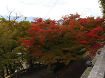 清水寺