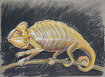Chmäleon 6, Pastel auf Papier, 28 x 39 cm