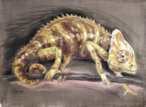 Chmäleon 4, Pastel auf Papier, 28 x 39 cm