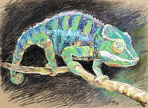 Chmäleon 3, Pastel auf Papier, 28 x 39 cm