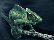 Chmäleon 2, Pastel auf Papier, 28 x 39 cm