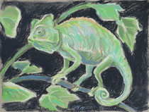 Chmäleon 5, Pastel auf Papier, 28 x 39 cm