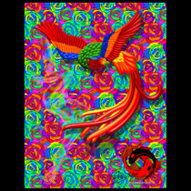 Phoenix 80x100cm