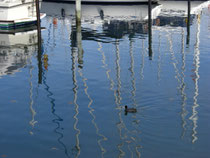 In Heiligenhafen