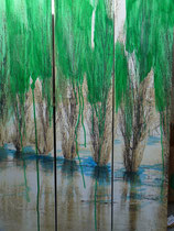 "Hochwasser"     Foto bearb., Acryl auf Leinwand  3x  110 x 30