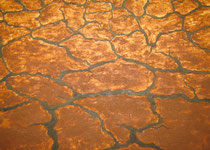 terra seca (terra vermelha/ oleo) 2010