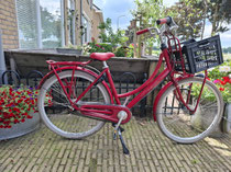 Gazelle-Diva-rechts