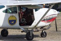 Cessna 182M Skylane - G-CINF