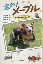 小峰書店　走れ！メープル　著／菅 聖子　写真／山本 遼　絵／篠本 映　デザイン／吉沢千明　2019