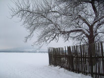 Schnee im Januar