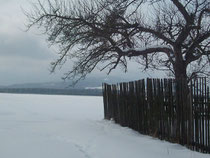 Mehr Schnee im Februar