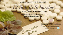 Corsi sui Sali di Schussler