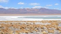 Laguna bei Termas de Chalviri, Bolivien