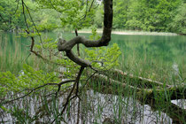 Plitvicka Jezera, National Park
