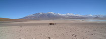 Grenzgebiet Chile - Bolivien
