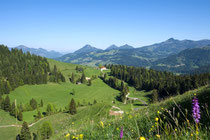 Blick auf Chiemgauer Berge