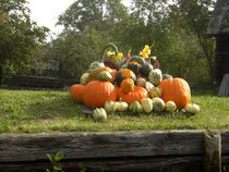 Lehde, Spreewald im Herbst 