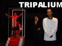 Tripalium