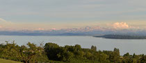 Blick von Überlingen auf den Obersee und Säntis 170717-095 