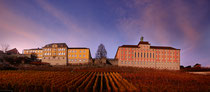 Staatsweingut Meersburg und neues Schloß Meersburg im herbstlichen Abendlicht 151108-070