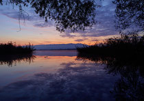 Morgendämmerung an der Fußacher Bucht mit Blick Richtung Pfänder 90917-105V