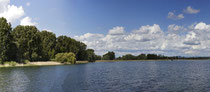 Moos, Schilfgürtel vom See aus 190613-166 