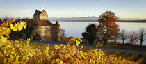 Burg Meersburg im herbstlichen Weinlaub 151108-017P 