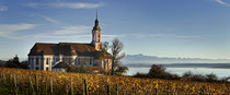 Klosterkirche Birnau im herbtslichen Weinlaub eingebettet 151108-015 