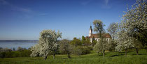 Klosterkirche Birnau im Frühling in der Baumblüte 180419-589