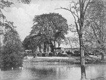 September: Partie am Dorfteich von Neudorf im Jahr 1911