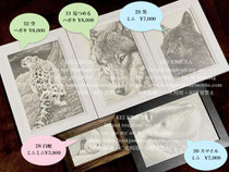 ミニ原画  35 SOLDOUT