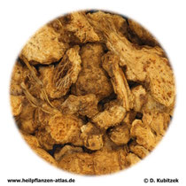 Atractylodis lanceae rhizoma; Atractylodes lancea-Wurzelstock; TCM: Cangzhu (Cang Zhu)