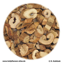 Strauchpaeonienwurzelrinde (Moutan cortex). TCM-Name: Mudanpi.