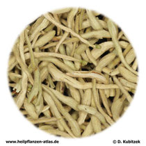 Japanisches-Geißblatt-Blüten (Lonicerae japonicae flos); TCM-Name: Jinyinhua