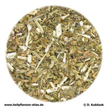Andornkraut (Marrubii herba)