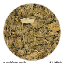 Artischockenblätter (Cynarae folium)