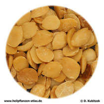 Pfirsichsamen präpariert (Persicae semen praeparatum Chan): TCM-Name: Chantaoren