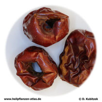 Jujubenfrüchte (Jujubae fructus), TCM-Name Dazao (Da Zao)
