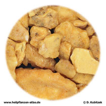 Siam-Benzoe (Benzoe tonkinensis)