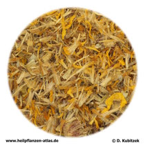 Arnikablüten (Arnicae flos)