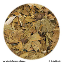 Wolfstrappkraut (Lycopi herba). TCM-Name: Zelan.