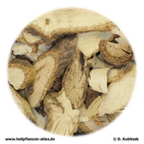Akebiaspross (Akebia-caulis). TCM-Name: Mutong. Die Scheiben von zerkleinertem Akebiaspross haben einen Durchmesser von 0,5 bis 2 cm. Das Holz zeigt radiale Streifen. Die relativ dicke Rinde ist im Schnitt gut vom Holz zu unterscheiden.