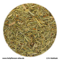 Schachtelhalmkraut (Equiseti herba)