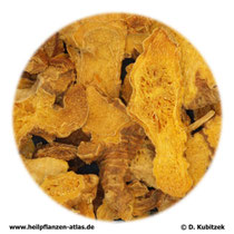 Leopardenblumenwurzelstock (Belamcandae chinensis rhizoma); TCM-Name: Shegan