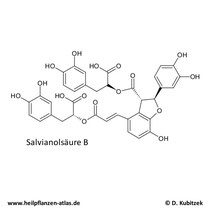 Salvianolsäure B