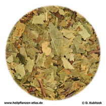 Birkenblätter (Betulae folium)
