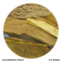 Berberitzenrinde, ganz (Berberidis cortex)