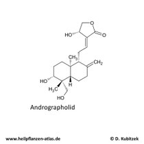Andrographolid Strukturformel