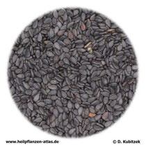 Sesamsamen schwarz (Sesamum nigrum)
