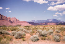 Blick aus dem fahrenden Auto (deshalb die Unschärfe) auf die spektakuläre Landschaft im Südwesen der USA mit den Sträuchern und Büschen der kalten Wüste, roten, kliffartigen Gebirgszügen und dem tiefblauen Himmel mit den kleinen, weissen Wolken (Bild 1966